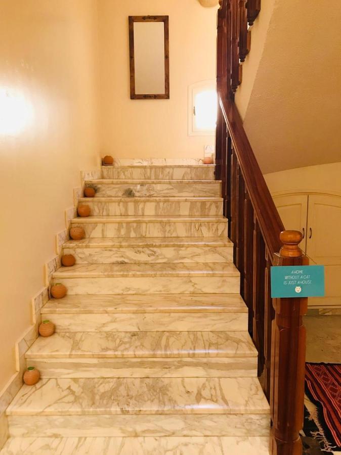 Maison D'Hotes Villa Fatima トズル エクステリア 写真